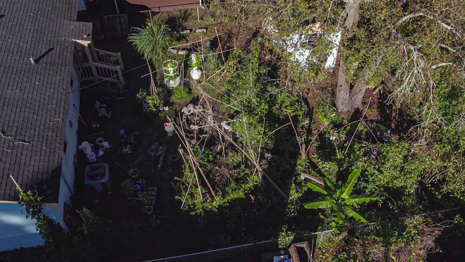 Home garden — Under One Sun agriculture
