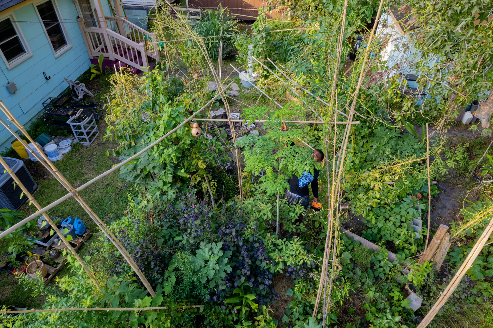 Home garden — Under One Sun agriculture