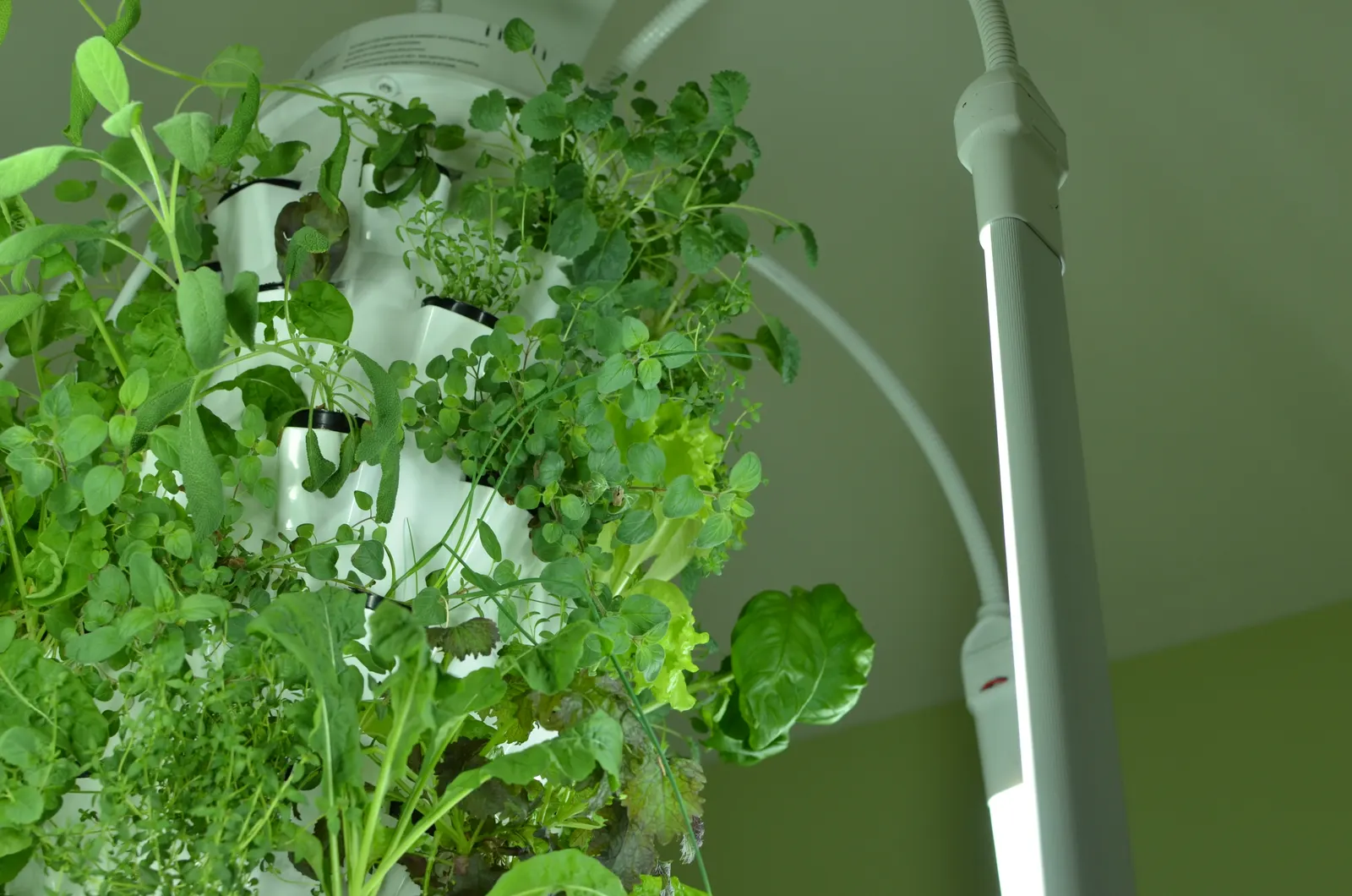 Inside the tower garden — Under One Sun agriculture